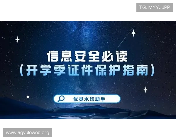 凯发官网登录地址最新入口，安全稳定的登录指南推荐