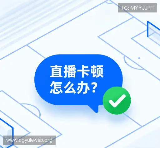 用户指南